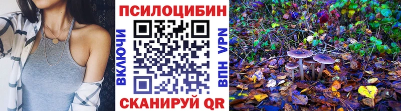 наркотики  Кирово-Чепецк  Галлюциногенные грибы ЛСД 